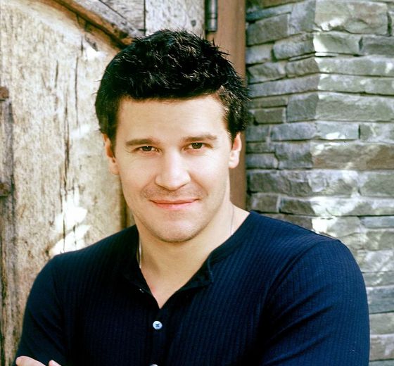 avid Boreanaz with dark brown hairstyle with spikies and layers.JPG
